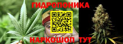 мдпв Кандалакша