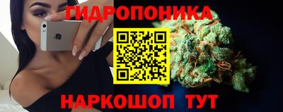 a pvp Канаш
